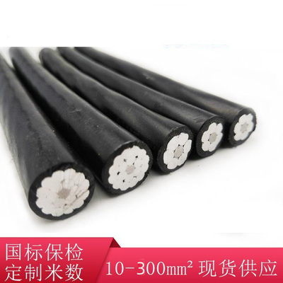竹海輸電新章 150mm2 JKLY絕緣導線的生態(tài)施工思考